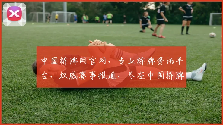 中国桥牌网官网，专业桥牌资讯平台，权威赛事报道，尽在中国桥牌网官网，邀您共赏桥牌魅力