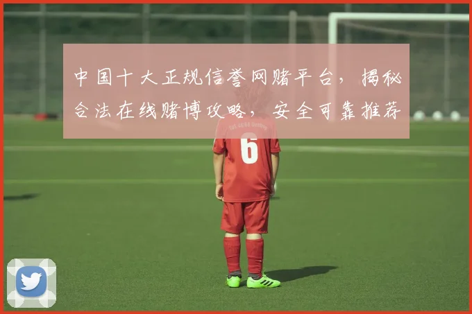 中国十大正规信誉网赌平台，揭秘合法在线赌博攻略，安全可靠推荐