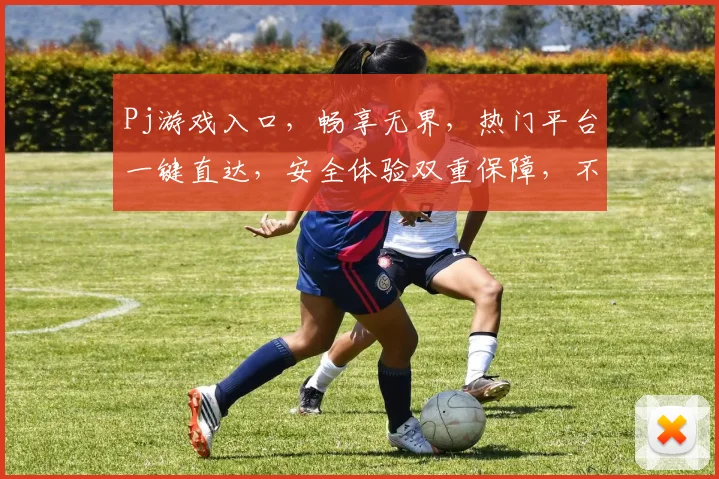Pj游戏入口，畅享无界，热门平台一键直达，安全体验双重保障，不容错过