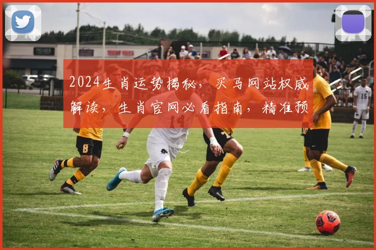 2024生肖运势揭秘，买马网站权威解读，生肖官网必看指南，精准预测