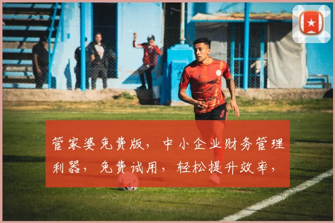 管家婆免费版，中小企业财务管理利器，免费试用，轻松提升效率，助力企业成长
